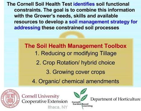 Webinar : Understanding Organic Matter - The Cornell Soil Health Test, a holistic approach | MOF matière organique réactive du sol | Scoop.it