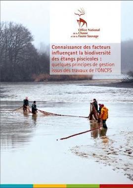 L'ONCFS publie une brochure sur la biodiversit&eacute; des &eacute;tangs | P&ocirc;le relais | Biodiversit&eacute; | Scoop.it