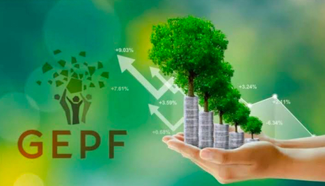 GEPF: Developmental Investments Policy Statement Final | BIOECONOMY, Climate-Nature-Finance, Financial Reforms, Economic Reforms, Tax Reforms | Scoop.it