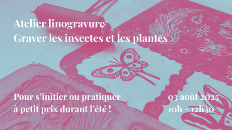 Atelier linogravure - Graver les insectes et les plantes | Variétés entomologiques | Scoop.it