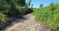 [Webinaire] Biodiversit&eacute; et changement climatique : comprendre et anticiper les transformations du vivant&nbsp; | Biodiversit&eacute; | Scoop.it
