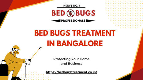 Bed Bugs Treatment in Bangalore | pestcontrol32 | Scoop.it
