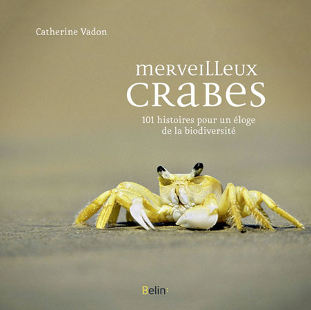 Merveilleux crabes | Variétés entomologiques | Scoop.it