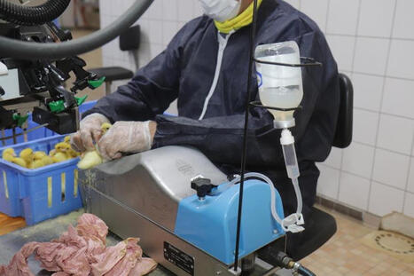 Grippe aviaire : le protocole mixte de vaccination des canards est d&eacute;sormais autoris&eacute; | SCIENCES DE L' ANIMAL | Scoop.it