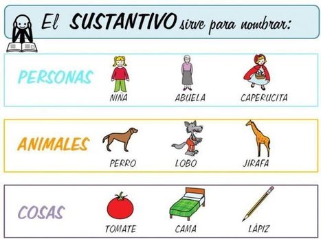 100 Ejemplos De Sustantivos En Singular Y Plura