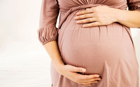 Woman tricked into believing she had given birth is granted custody of baby - Telegraph | Children In Law | Scoop.it