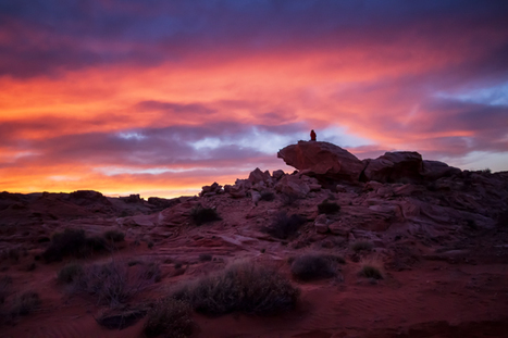 Low Light Photography: How to Shoot Without a Tripod @ Weeder | Mobile Photography | Scoop.it