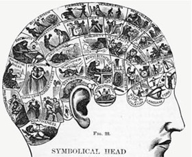 Is Cognitive Enhancement Possible? | Amazing Science | Scoop.it