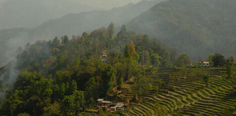 L’État indien du Sikkim est-il vraiment « devenu » 100 % bio ? | Revue de presse du Centre de doc | Scoop.it