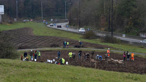 Planter une for&ecirc;t au bord du p&eacute;riph de Lille : l&rsquo;id&eacute;e folle et po&eacute;tique de l&rsquo;Arrassine | Actu environnement en HdF | Scoop.it