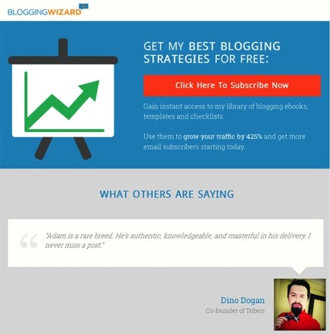 10 Ways to Capture Email Leads Without Disturbing Your Visitors | Tampa Florida Marketing | Scoop.it