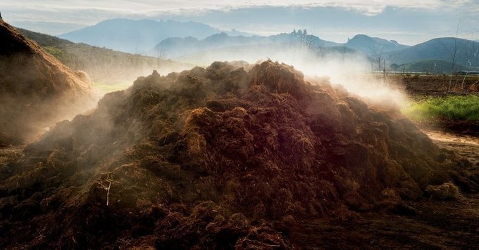 Can Dirt Save the Earth? - The New York Times