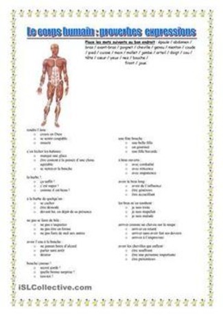 Corps humain et expressions li&eacute;es | POURQUOI PAS... EN FRAN&Ccedil;AIS ? | Scoop.it