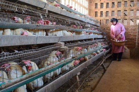 U.S. Strikes China Trade Deals but Leaves Major Issues Untouched | COMMERCE & LOGISTIQUE | Scoop.it