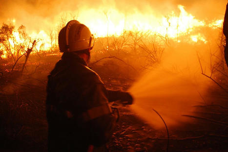 Cancers, infarctus…. Comment les feux de forêt mettent en danger la vie des pompiers | Toxique, soyons vigilant ! | Scoop.it