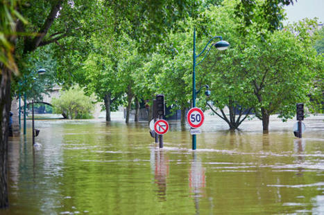 Les plans de prévention des risques d’inondation, mal-aimés mais très efficaces | Risques naturels et technologiques infos | Scoop.it