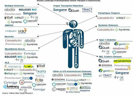 Spencer Knight on LinkedIn: #celltherapy #immunology #biotech #cgtweekly | 26 comments | AUTOIMMUNITY | Scoop.it