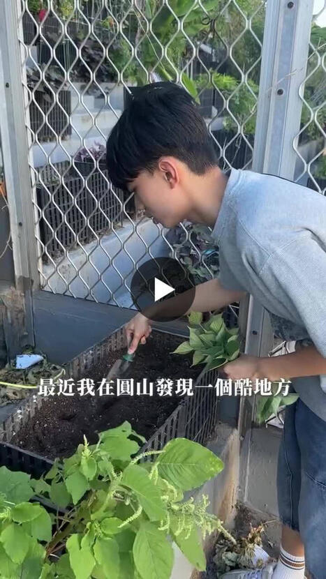 &Agrave; Taipei, un stade de foot est devenu le symbole de la culture potag&egrave;re urbaine | 5 - Equipements et lieux de pratique | Scoop.it