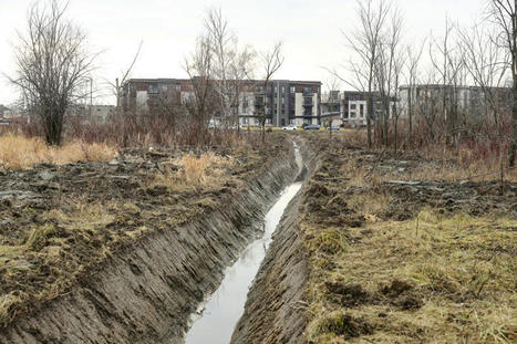 Ministère de l’Environnement | Des « délinquants » voient leurs projets approuvés | Ils parlent de nous ! | Scoop.it