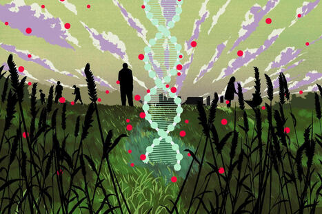 Cancer&nbsp;: des chercheurs mettent en &eacute;vidence un lien entre les tumeurs colorectales chez les jeunes et un pesticide jug&eacute; sans risque | ITERG - Nutrition, Sant&eacute; et Biochimie des Lipides | Scoop.it