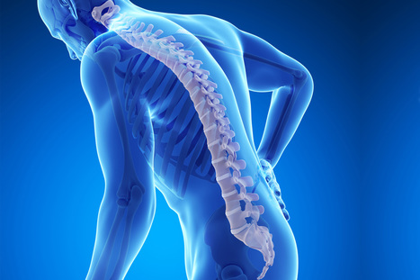 Inhibition of Cathepsin K: A Novel and Promising Treatment for<br/>Osteoporosis | Daily Newspaper | Scoop.it