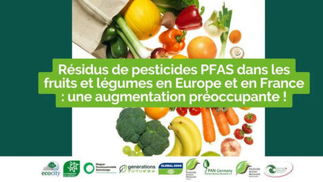 Résidus de pesticides PFAS dans les fruits et légumes en Europe et en France : une augmentation préoccupante ! | Pipistrella | Scoop.it