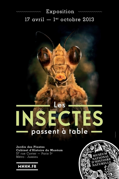 Les insectes passent à table | Variétés entomologiques | Scoop.it