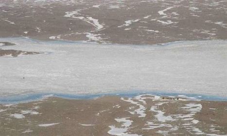 Un oasis de ox&iacute;geno en un lago ant&aacute;rtico refleja la antigua Tierra | Universo y F&iacute;sica Cu&aacute;ntica | Scoop.it