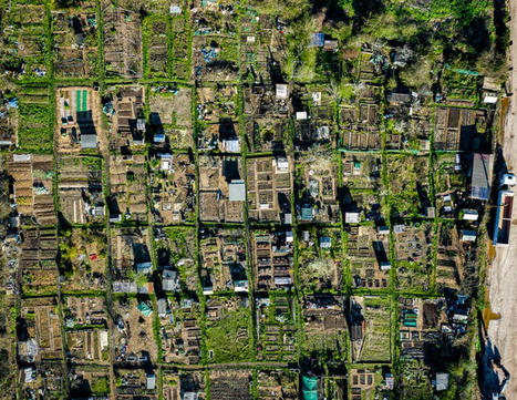 Un cadre pour faciliter l’intégration de l’agriculture urbaine dans l’aménagement des villes – | ESPACES VEGETALISES URBAINS | Scoop.it