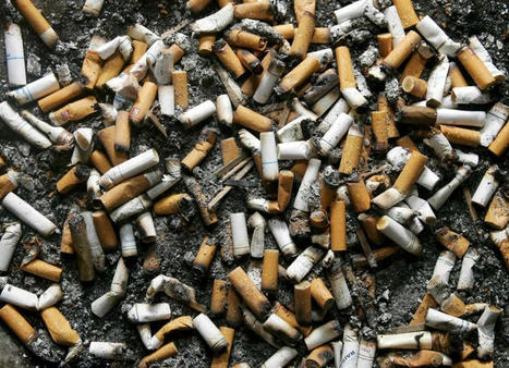 Studies show vape can help reduce cigarette smoking rates but... | The future of e-cigarette | Scoop.it