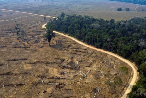 Restaurer certains écosystèmes permettrait de préserver la biodiversité et le climat - Libération | Biodiversité | Scoop.it