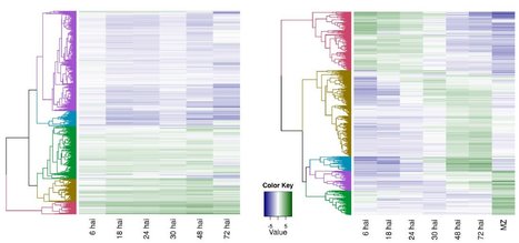 bioRxiv: Time-resolved dual root-microbe transcriptomics reveals early induced Nicotiana benthamiana genes and conserved infection-promoting Phytophthora palmivora effectors (2017) | Plant Pathogenomics | Scoop.it