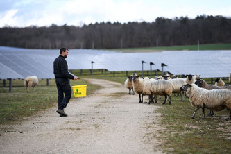 "Chaque commune a un ou plusieurs projets, c'est quelque chose d'énorme" : ce parc naturel régional tente d'encadrer l'agrivoltaïsme | Nouvelle-Aquitaine | Scoop.it