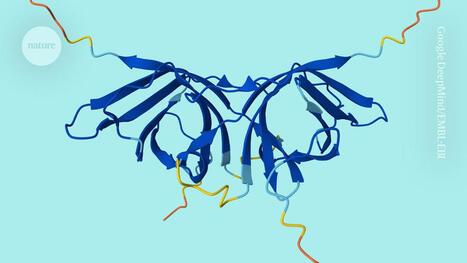 AlphaFold hits &lsquo;next level&rsquo;: the AI database now includes protein pairing | nat | RMH | Scoop.it