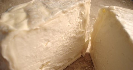 Bactérie E.Coli : de nouveaux fromages au lait cru rappelés | Toxique, soyons vigilant ! | Scoop.it