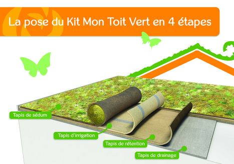 Mon toit vert, par Vertige® | Build Green, pour un habitat écologique | Scoop.it