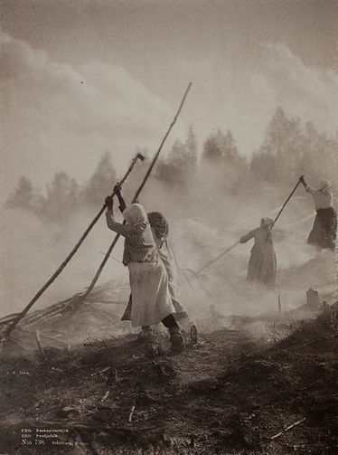Kaikki hienot Wikiwand-artikkelit | 1Uutiset - Lukemisen tähden | Scoop.it