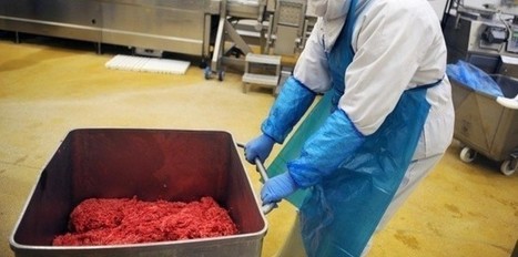 Viande de cheval : un trader néerlandais au coeur du scandale | La Gazette des abattoirs | Scoop.it