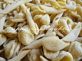 Orecchiette al forno | La Cucina Italiana - De Italiaanse Keuken - The Italian Kitchen | Scoop.it