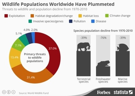A Graphic Showing the World's Vanishing Wildlife | Design, Science and Technology | Scoop.it