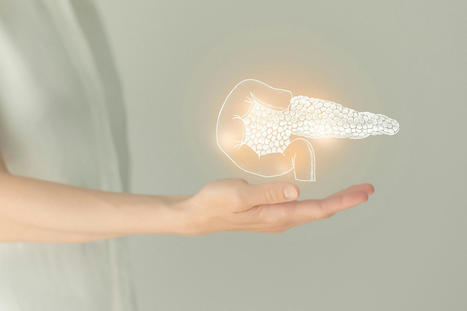 Discovery of a novel therapeutic target for pancreatic cancer | Genetic Engineering in the Press by GEG | Scoop.it