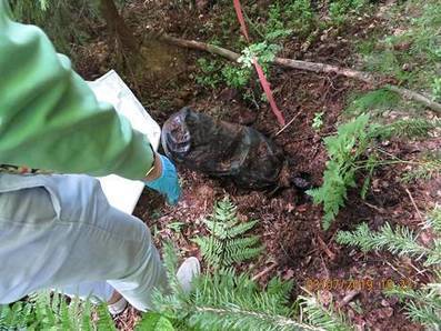 N&auml;in Tranbergin ja Ranta-ahon liigan ep&auml;ill&auml;&auml;n py&ouml;ritt&auml;neen j&auml;ttim&auml;ist&auml; huume&shy;bisnest&auml; &ndash; toimintaa johdettiin Espanjasta, huumeita Alankomaista kukka&shy;l&auml;hetyksiss&auml; - Kotimaa - Ilta-Sanomat | 1Uutiset - Lukemisen t&auml;hden | Scoop.it