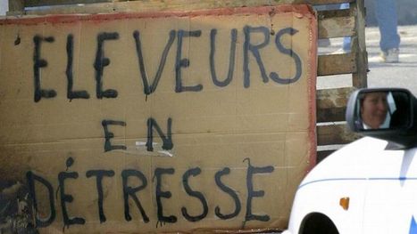 France : un suicide tous les deux jours chez les agriculteurs | Questions de développement ... | Scoop.it