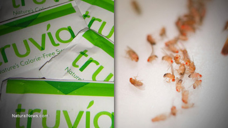 Los efectos inesperados del endulzante Truvia: un potente insecticida | PIENSA en VERDE | Scoop.it