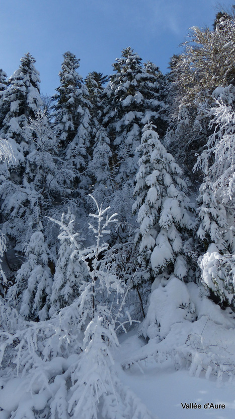 La blancheur du Val | Vallées d'Aure & Louron - Pyrénées | Scoop.it