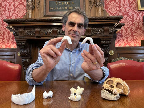 VIDÉO. Un professeur de l'Université de Toulouse repense le début du genre humain grâce à ces précieux os | Les laboratoires du CNRS Occitanie Ouest dans la presse | Scoop.it