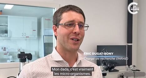 Eric Dugat-Bony, invit&eacute; dans le &laquo;JT de la bouffe : &eacute;dition sp&eacute;ciale fromages !&raquo; | Life Sciences Universit&eacute; Paris-Saclay | Scoop.it