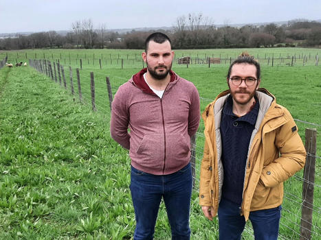 Des éleveurs veulent créer deux abattoirs paysans en Loire-Atlantique | Actualité Bétail | Scoop.it