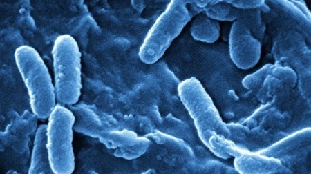 Bacteria-killing blue light used to stop infections | Longevity science | Scoop.it