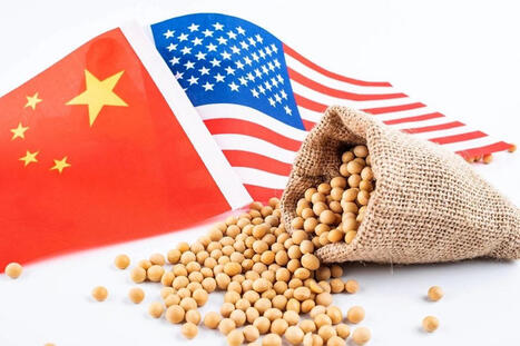 US-China tariff cuts exclude soybeans | World Grain | MED-Amin network | Scoop.it